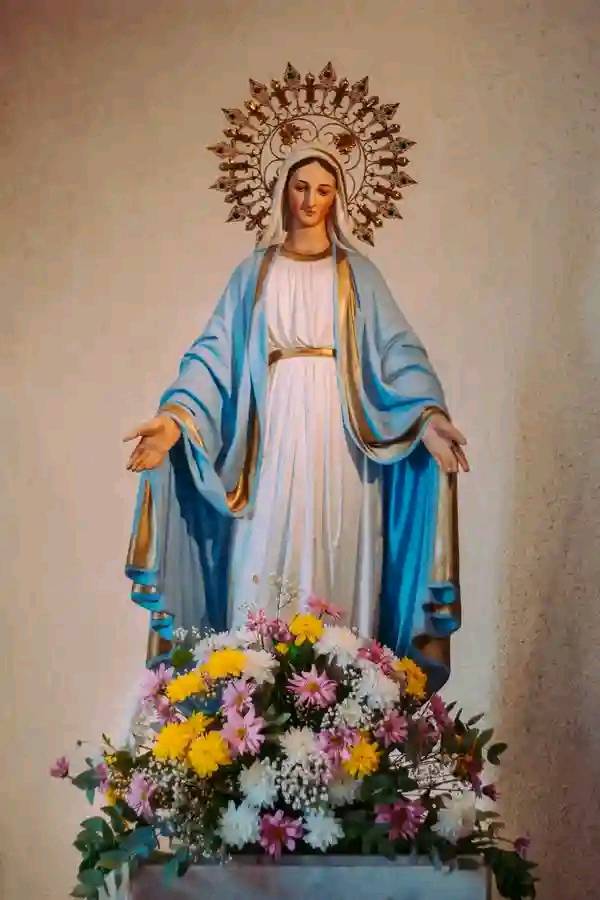 Partnership opportunities